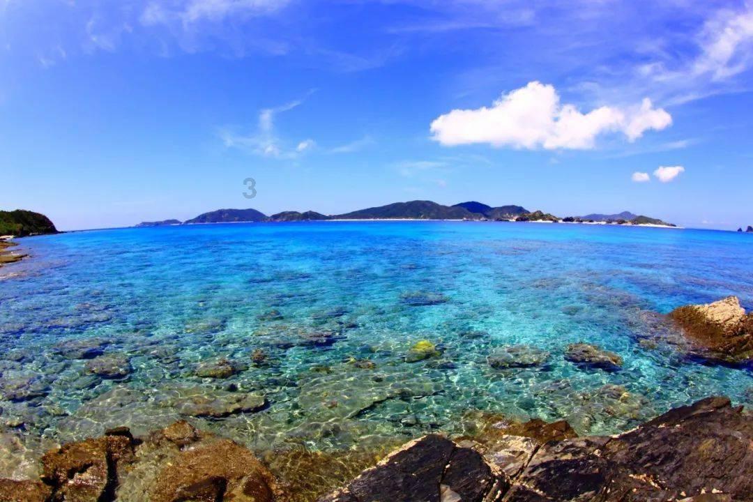 海南“村VA”迎春赛,昌洒镇黑山羊队3:1力克东路镇荔枝队,16号球员王帅获得“最佳球员”