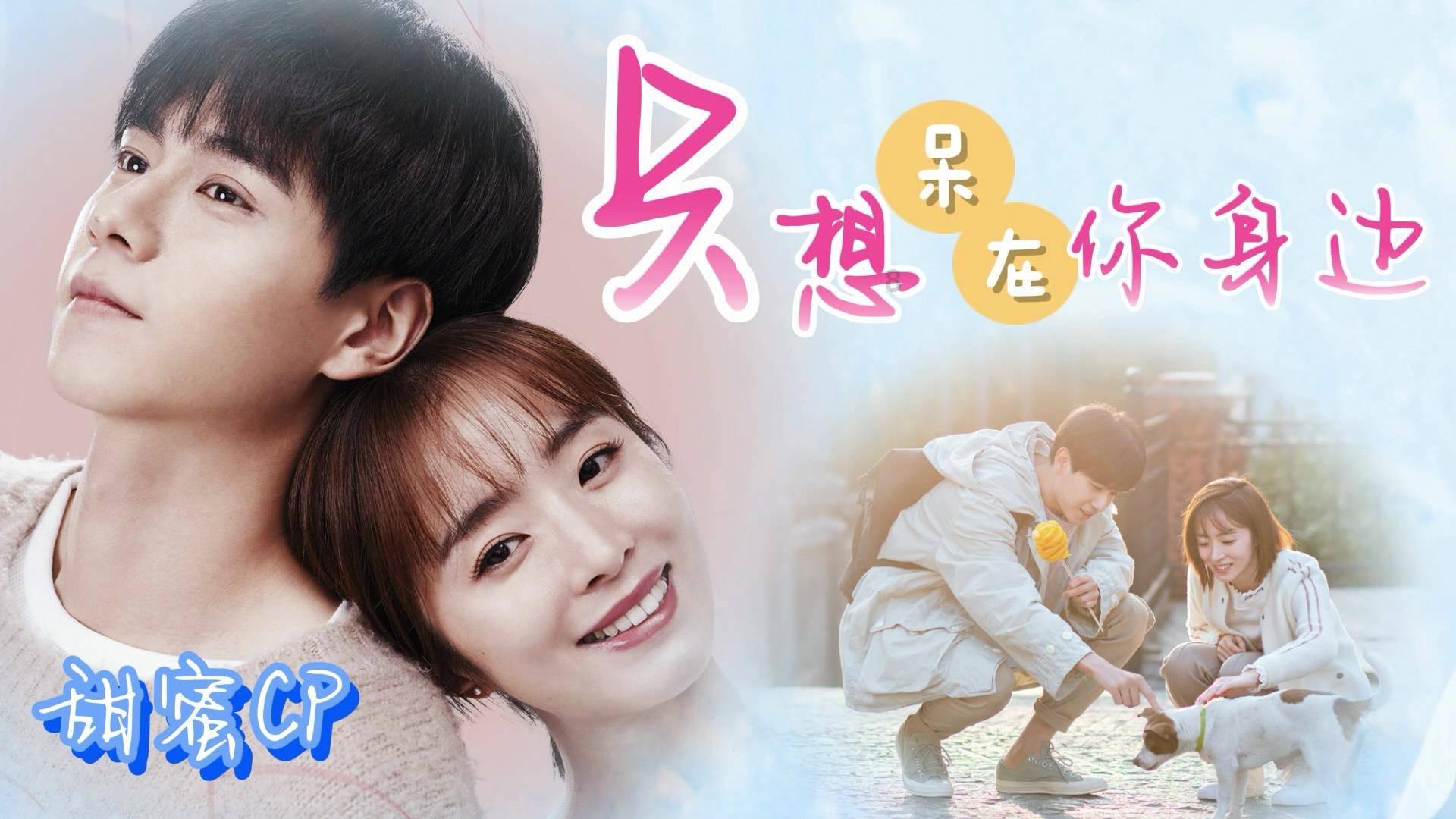 拯救巧虎4